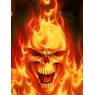 middel44