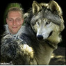 wolfie1977
