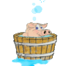 Mayflower