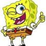spongepaul