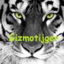 gizmotijger