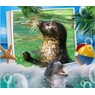 ticket