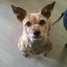 rinus40