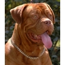 miep74