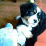 trudi